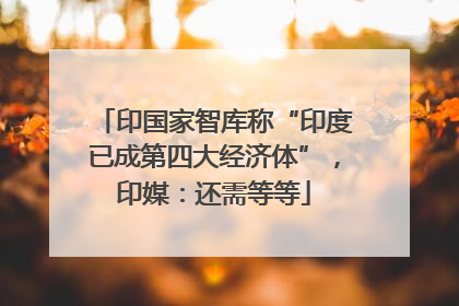 印国家智库称“印度已成第四大经济体”，印媒：还需等等