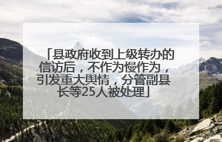 县政府收到上级转办的信访后，不作为慢作为，引发重大舆情，分管副县长等25人被处理