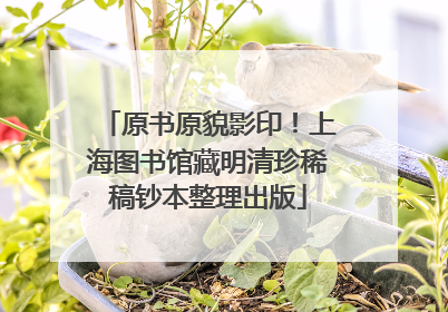 原书原貌影印！上海图书馆藏明清珍稀稿钞本整理出版
