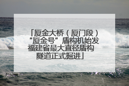 厦金大桥（厦门段）“厦金号”盾构机始发 福建省最大直径盾构隧道正式掘进