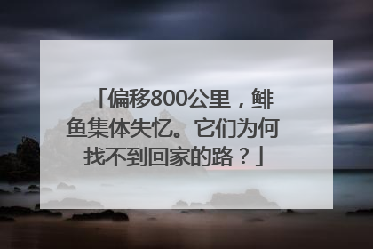 偏移800公里，鲱鱼集体失忆。它们为何找不到回家的路？