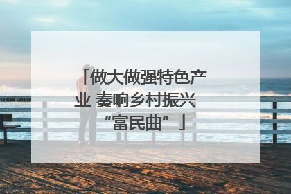 做大做强特色产业 奏响乡村振兴“富民曲”