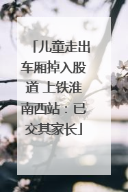 儿童走出车厢掉入股道 上铁淮南西站：已交其家长
