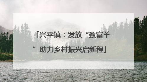 兴平镇：发放“致富羊”助力乡村振兴启新程