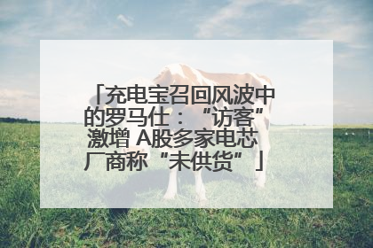 充电宝召回风波中的罗马仕：“访客”激增 A股多家电芯厂商称“未供货”