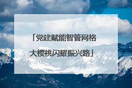 党建赋能智管网格 大樱桃闪耀振兴路