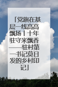 党旗在基层一线高高飘扬丨十年驻守米飘香——驻村第一书记莫日发的乡村印记