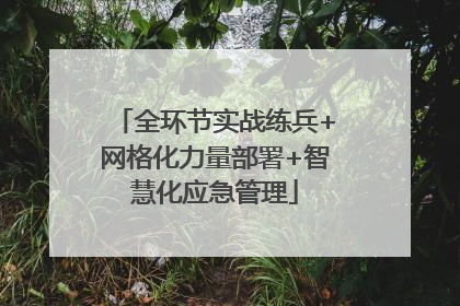 全环节实战练兵+网格化力量部署+智慧化应急管理