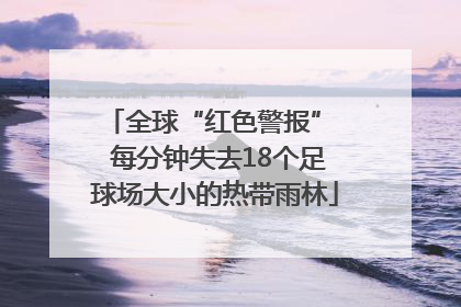 全球“红色警报”  每分钟失去18个足球场大小的热带雨林