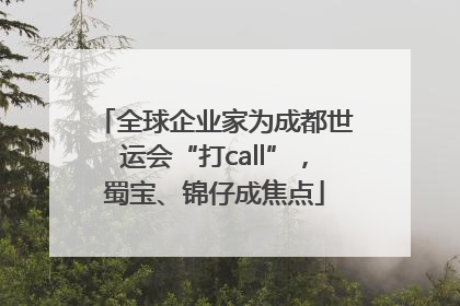 全球企业家为成都世运会“打call”，蜀宝、锦仔成焦点
