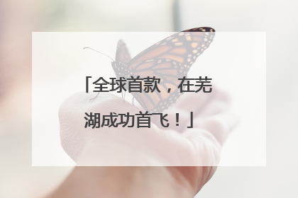 全球首款，在芜湖成功首飞！