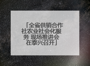 全省供销合作社农业社会化服务 现场推进会在泰兴召开