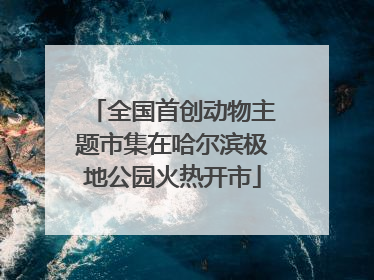 全国首创动物主题市集在哈尔滨极地公园火热开市