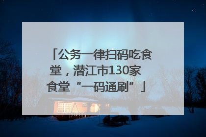公务一律扫码吃食堂，潜江市130家食堂“一码通刷”