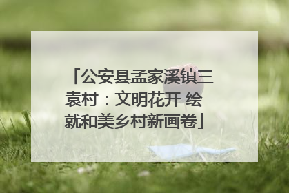 公安县孟家溪镇三袁村：文明花开 绘就和美乡村新画卷