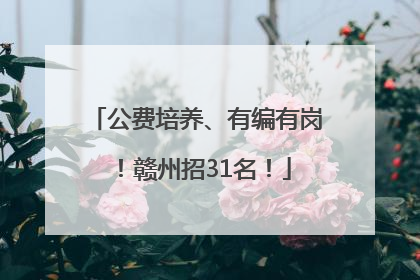 公费培养、有编有岗！赣州招31名！