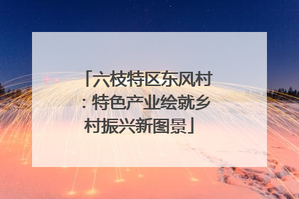 六枝特区东风村：特色产业绘就乡村振兴新图景