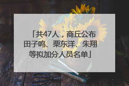 共47人，商丘公布田子鸣、栗东洋、朱翔等拟加分人员名单