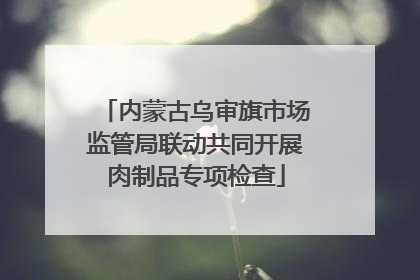 内蒙古乌审旗市场监管局联动共同开展肉制品专项检查