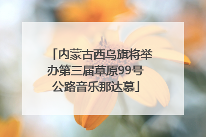 内蒙古西乌旗将举办第三届草原99号公路音乐那达慕