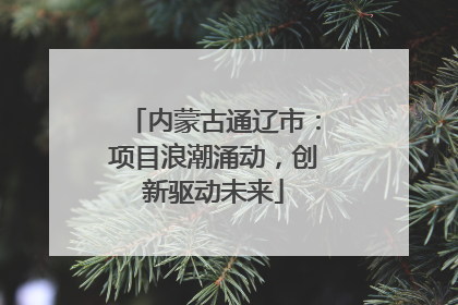内蒙古通辽市：项目浪潮涌动，创新驱动未来