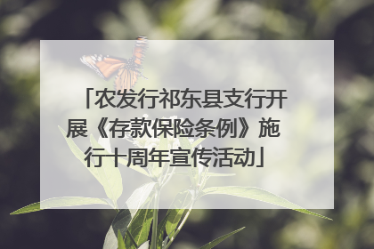 农发行祁东县支行开展《存款保险条例》施行十周年宣传活动