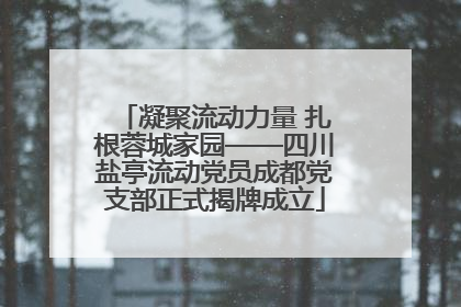 凝聚流动力量 扎根蓉城家园——四川盐亭流动党员成都党支部正式揭牌成立