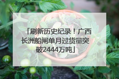 刷新历史纪录！广西长洲船闸单月过货量突破2444万吨