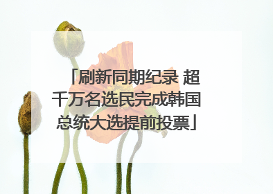 刷新同期纪录 超千万名选民完成韩国总统大选提前投票