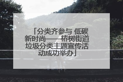 分类齐参与 低碳新时尚——椿树街道垃圾分类主题宣传活动成功举办