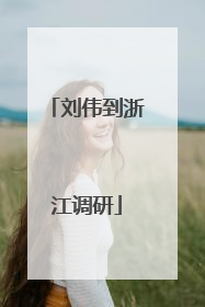 刘伟到浙江调研