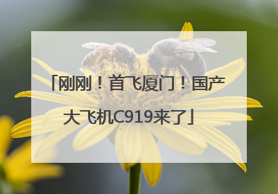 刚刚！首飞厦门！国产大飞机C919来了