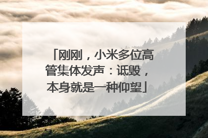 刚刚，小米多位高管集体发声：诋毁，本身就是一种仰望