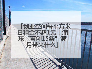 创业空间每平方米日租金不超1元，浦东“青创15条”满月带来什么