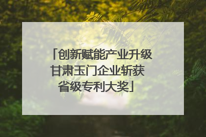 创新赋能产业升级 甘肃玉门企业斩获省级专利大奖