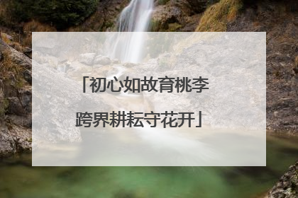 初心如故育桃李 跨界耕耘守花开