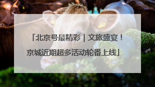 北京号最精彩｜文旅盛宴！京城近期超多活动轮番上线