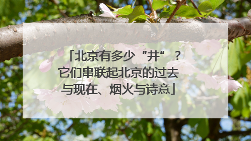 北京有多少“井”？它们串联起北京的过去与现在、烟火与诗意