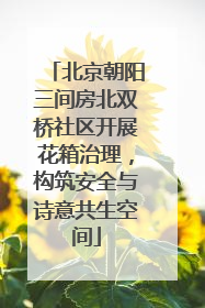 北京朝阳三间房北双桥社区开展花箱治理，构筑安全与诗意共生空间