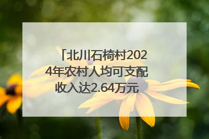 北川石椅村2024年农村人均可支配收入达2.64万元｜新闻发布最前线