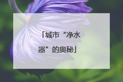 城市“净水器”的奥秘