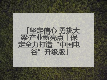 坚定信心 勇挑大梁·产业新亮点丨保定全力打造“中国电谷”升级版
