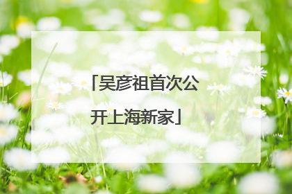 吴彦祖首次公开上海新家