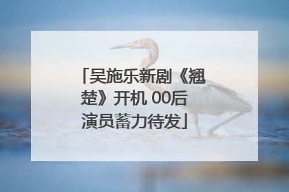 吴施乐新剧《翘楚》开机 00后演员蓄力待发