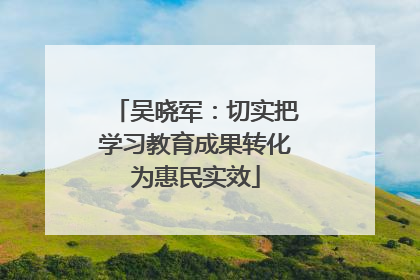 吴晓军：切实把学习教育成果转化为惠民实效