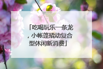 吃喝玩乐一条龙，小帐篷撬动复合型休闲新消费