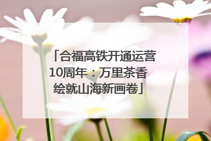 合福高铁开通运营10周年：万里茶香绘就山海新画卷