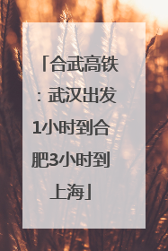 合武高铁：武汉出发1小时到合肥3小时到上海