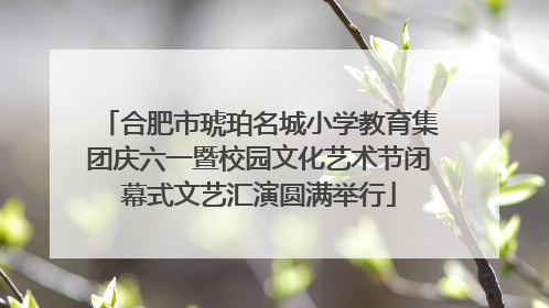 合肥市琥珀名城小学教育集团庆六一暨校园文化艺术节闭幕式文艺汇演圆满举行