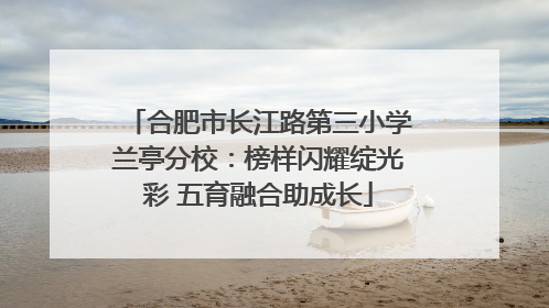 合肥市长江路第三小学兰亭分校：榜样闪耀绽光彩 五育融合助成长